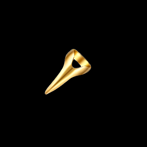 NOZIPHO POINTED RING